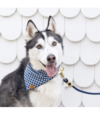 Rope Dog Leash-available in 3 colors