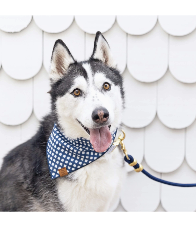 Rope Dog Leash-available in 2 colors