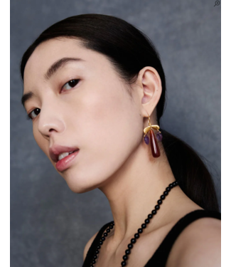 Dragonfly Red Agate Chandlier Earrings