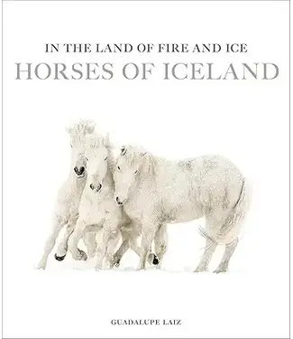 Harper Group In the Land of Fire and Ice