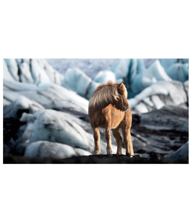 In the Land of Fire and Ice