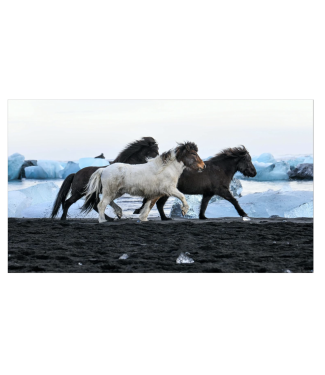 In the Land of Fire and Ice