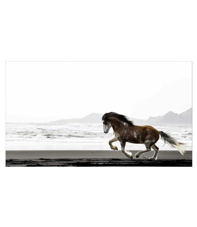 In the Land of Fire and Ice