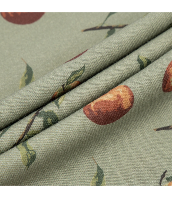 Long Sleeve Apple Orchard One Piece