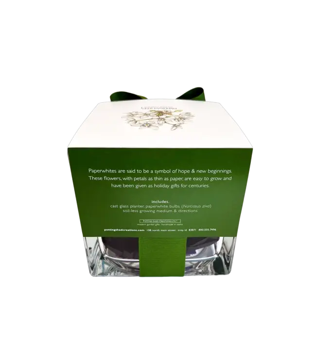 Potting Shed Paperwhites Winter Garden