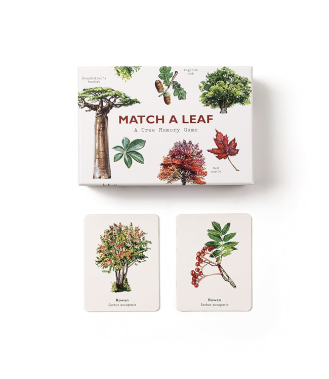 Match A Leaf Memory Game