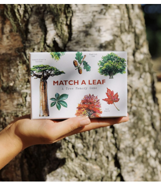 Match A Leaf Memory Game