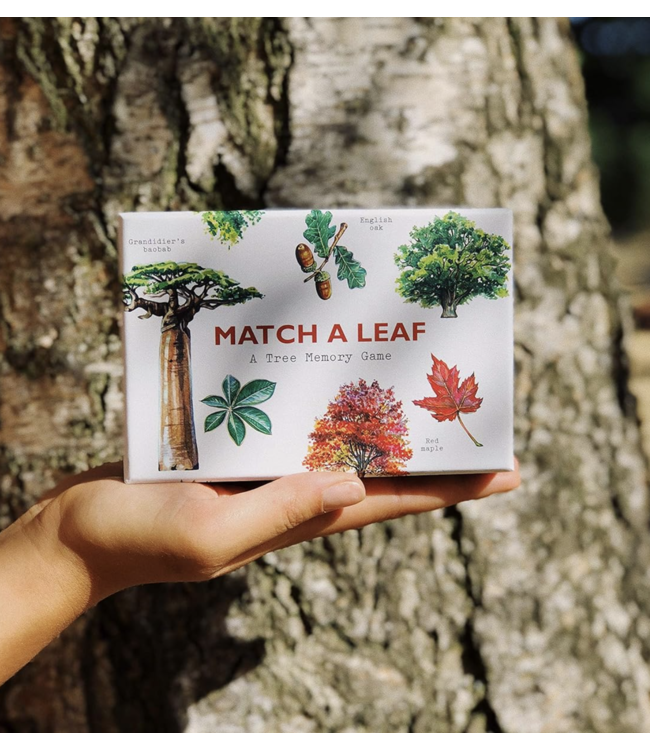 Match A Leaf Memory Game