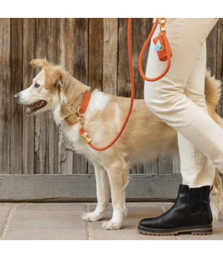 Waste Bag-choose from 6 patterns