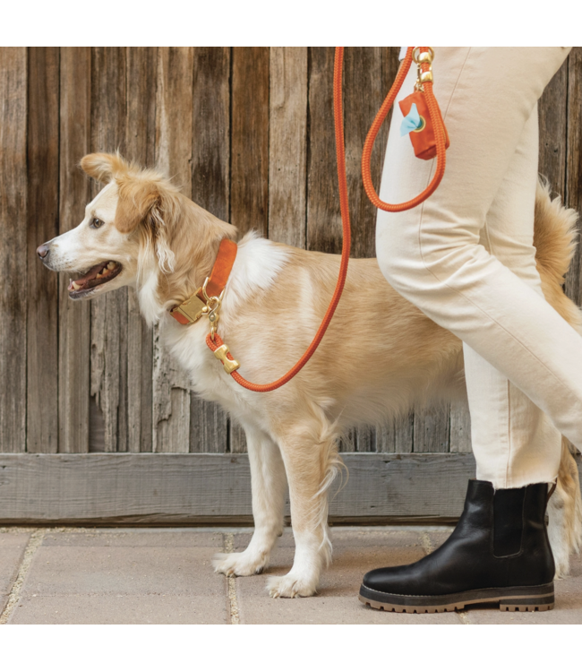 Waste Bag-choose from 4 patterns