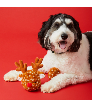 Reindeer 2-in-1 Bounce Dog Toy