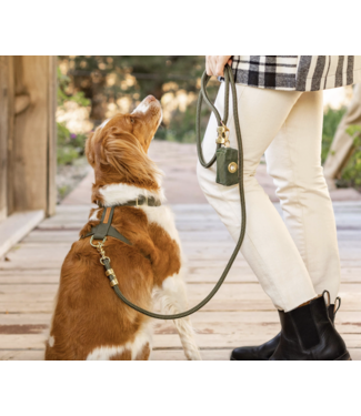 Rope Dog Leash-available in 4 colors