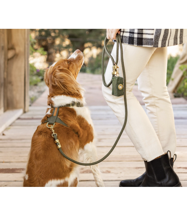 Rope Dog Leash-available in 4 colors