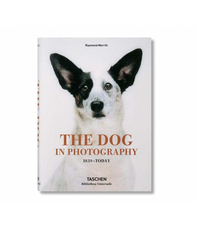 The Dog in Photography