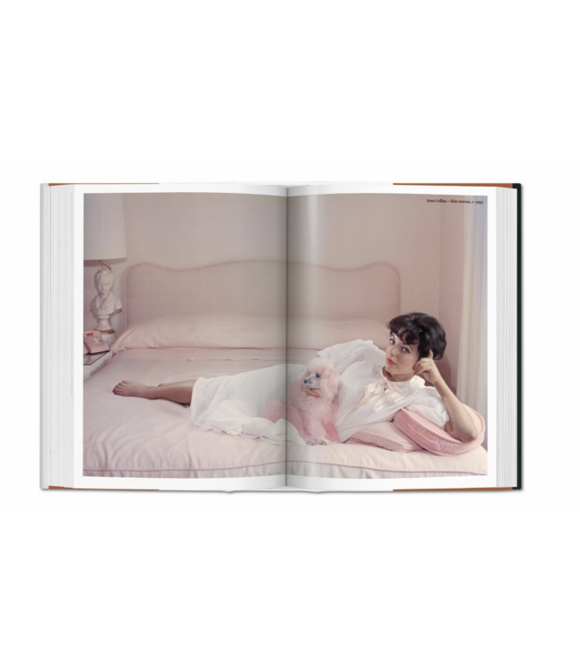 The Dog in Photography