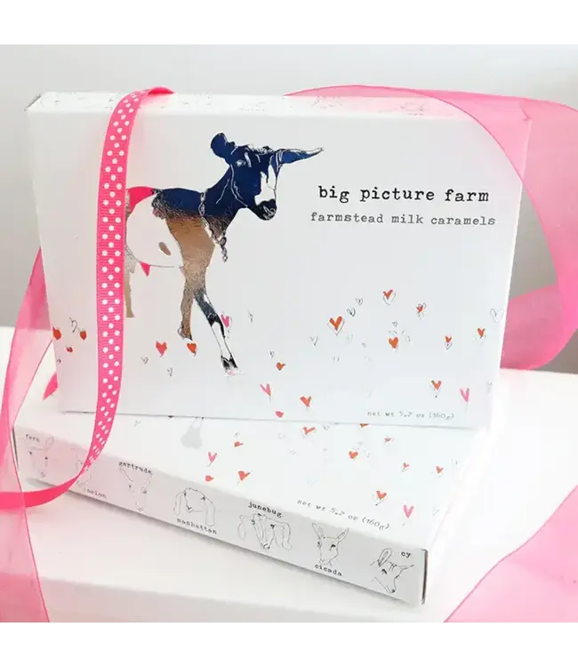 Big Picture Farm Goat Milk Caramel Gift Box