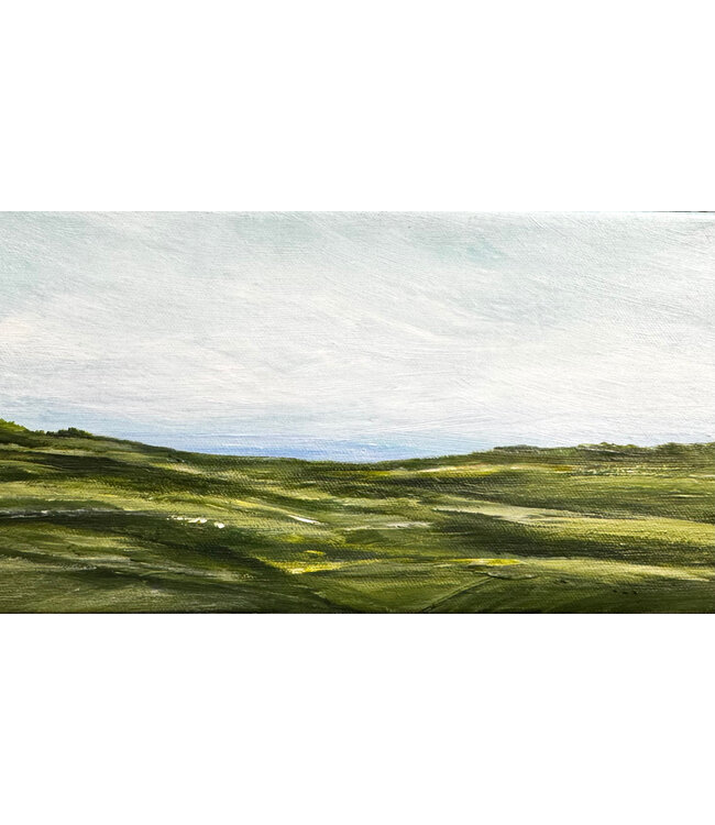 Patti Kane Fields of Grace' 12 X 6 Painting