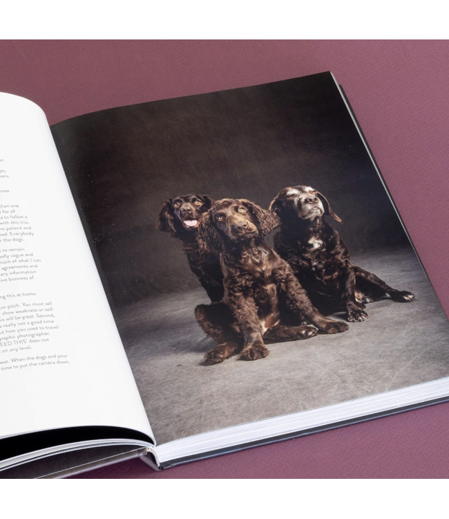 The Year of the Dogs