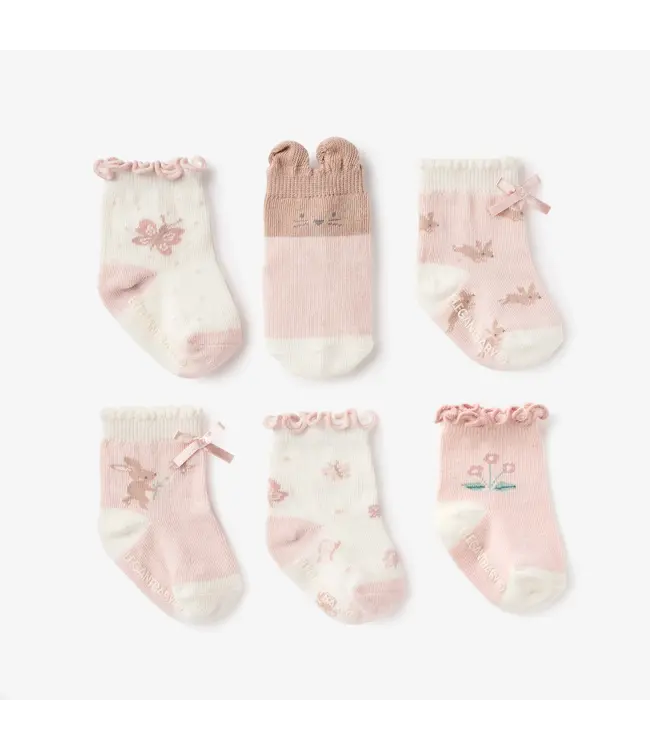 Garden Picnic Cotton Socks (6pr)