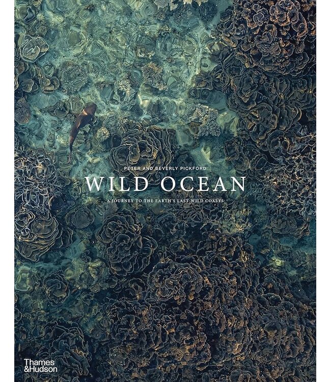 Wild Ocean
