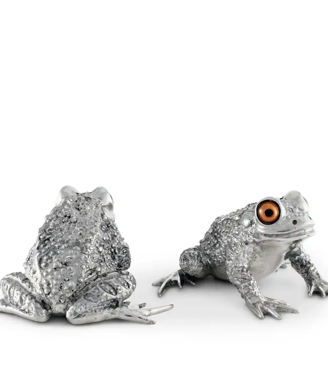 Pewter Toad Salt and Pepper