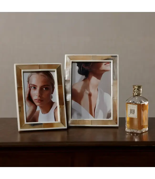 Horn with White Bone Border 4X6 Frame