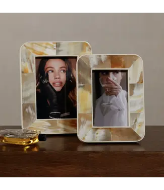 African White Horn 5X7 Frame