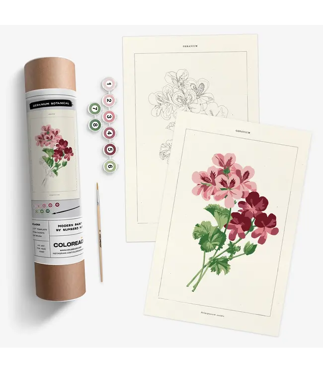 Coloready Paint By Number Kit-choose from 4 kits