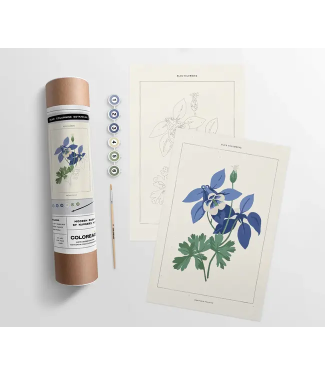 Coloready Paint By Number Kit-choose from 4 kits