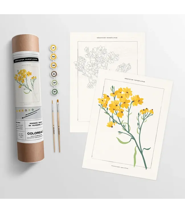 Coloready Paint By Number Kit-choose from 4 kits