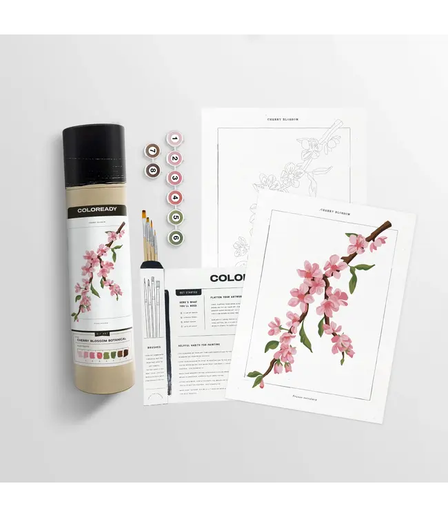 Coloready Paint By Number Kit-choose from 4 kits