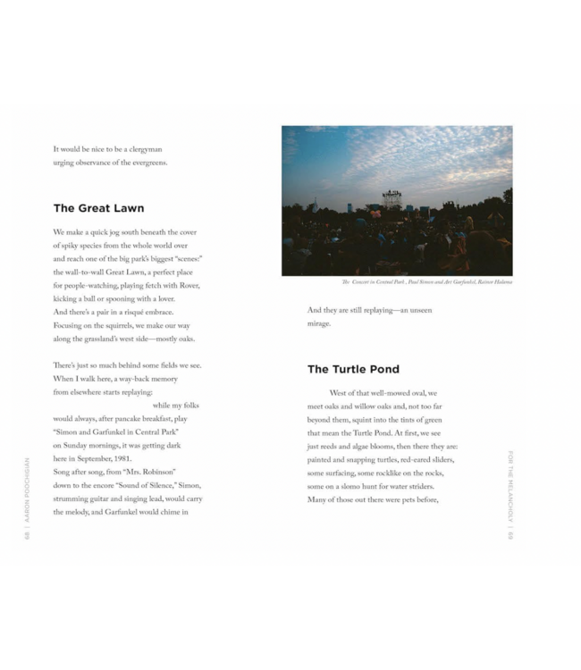 Four Walks in Central Park- A Poetic Guide