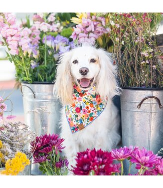 Cotton Bandana-available in 4 prints