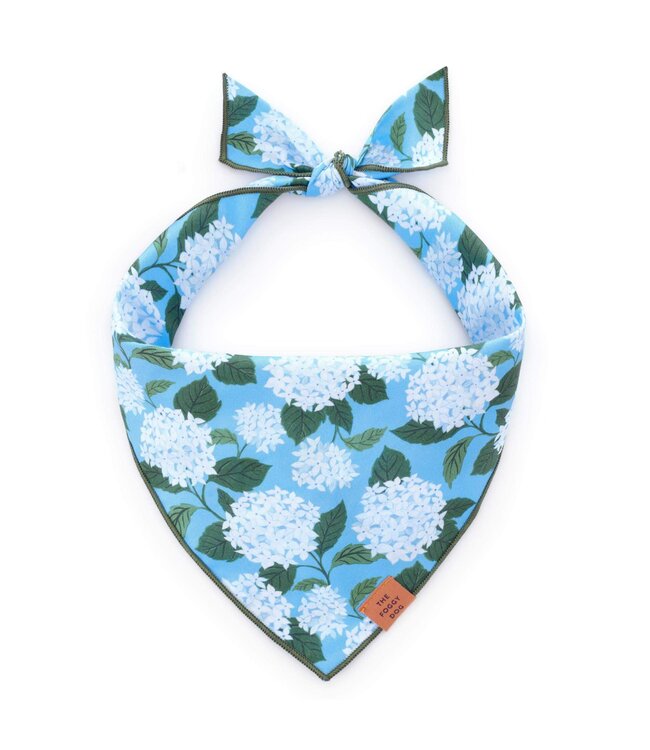 Cotton Bandana-available in 4 prints