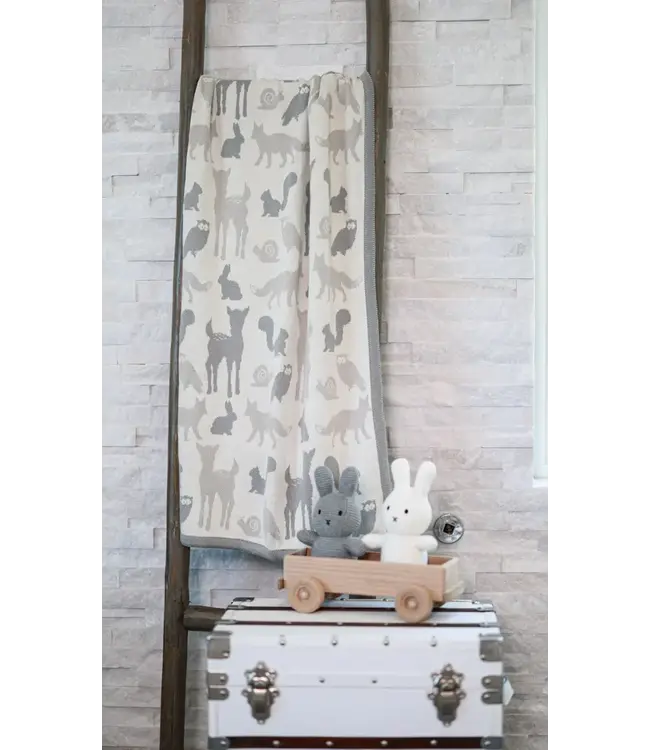 Woodland Animals Baby Blanket