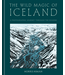 Quarto The Wild Magic of Iceland