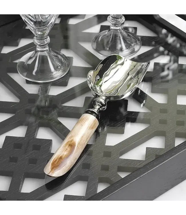 Caribbean Chic Ice Scoop