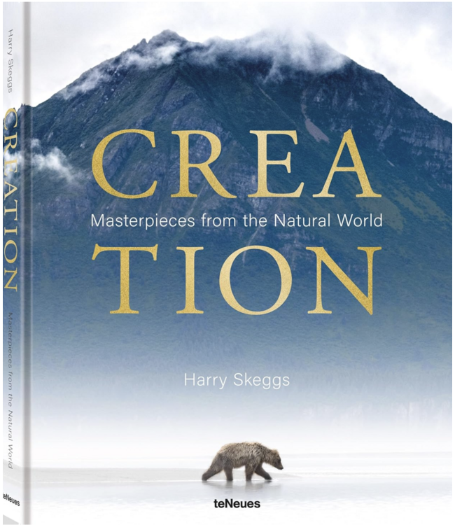 Creation