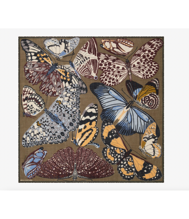 Inoui Square 130 Papillons