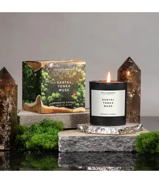 Environment Environment Le Labo Santal Musk Candle