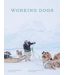 Working Dogs