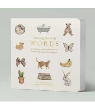 Our Big Book of First Words