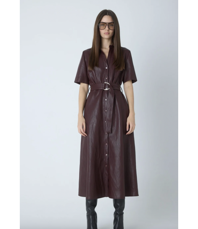 Juliette Faux Leather Dress
