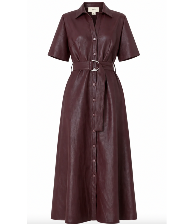 Juliette Faux Leather Dress