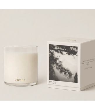 Cicada Conifer Pine Candle