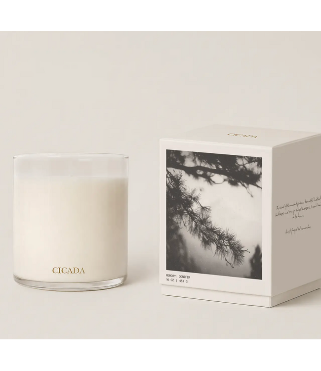 Winter Solstice Candle