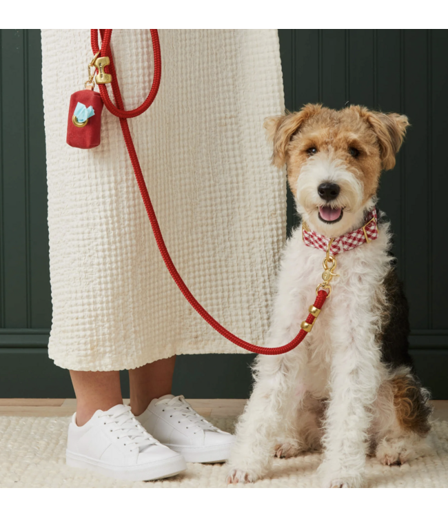 Ruby Waxed Waste Bag Dispenser