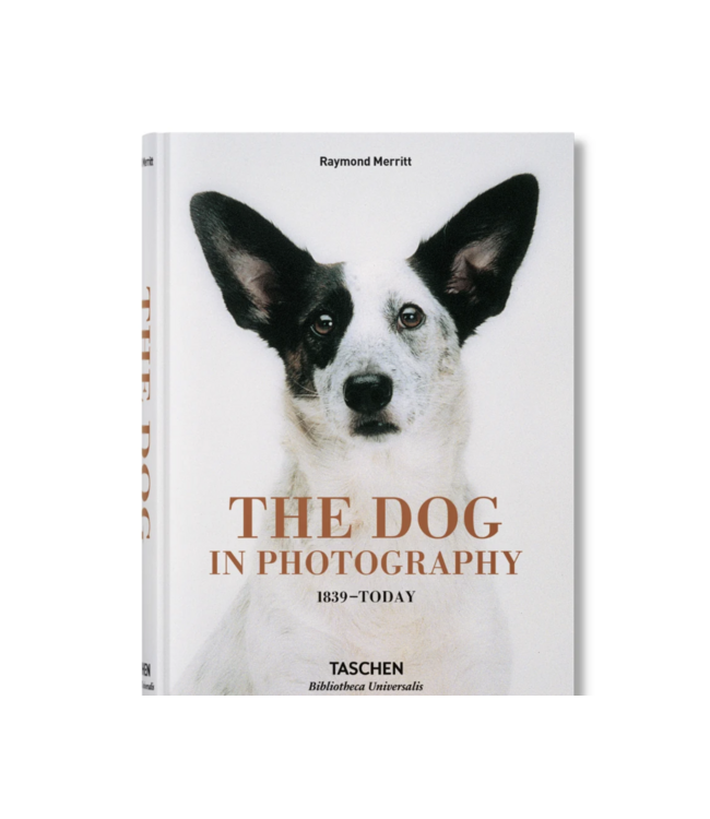 The Dog in Photography
