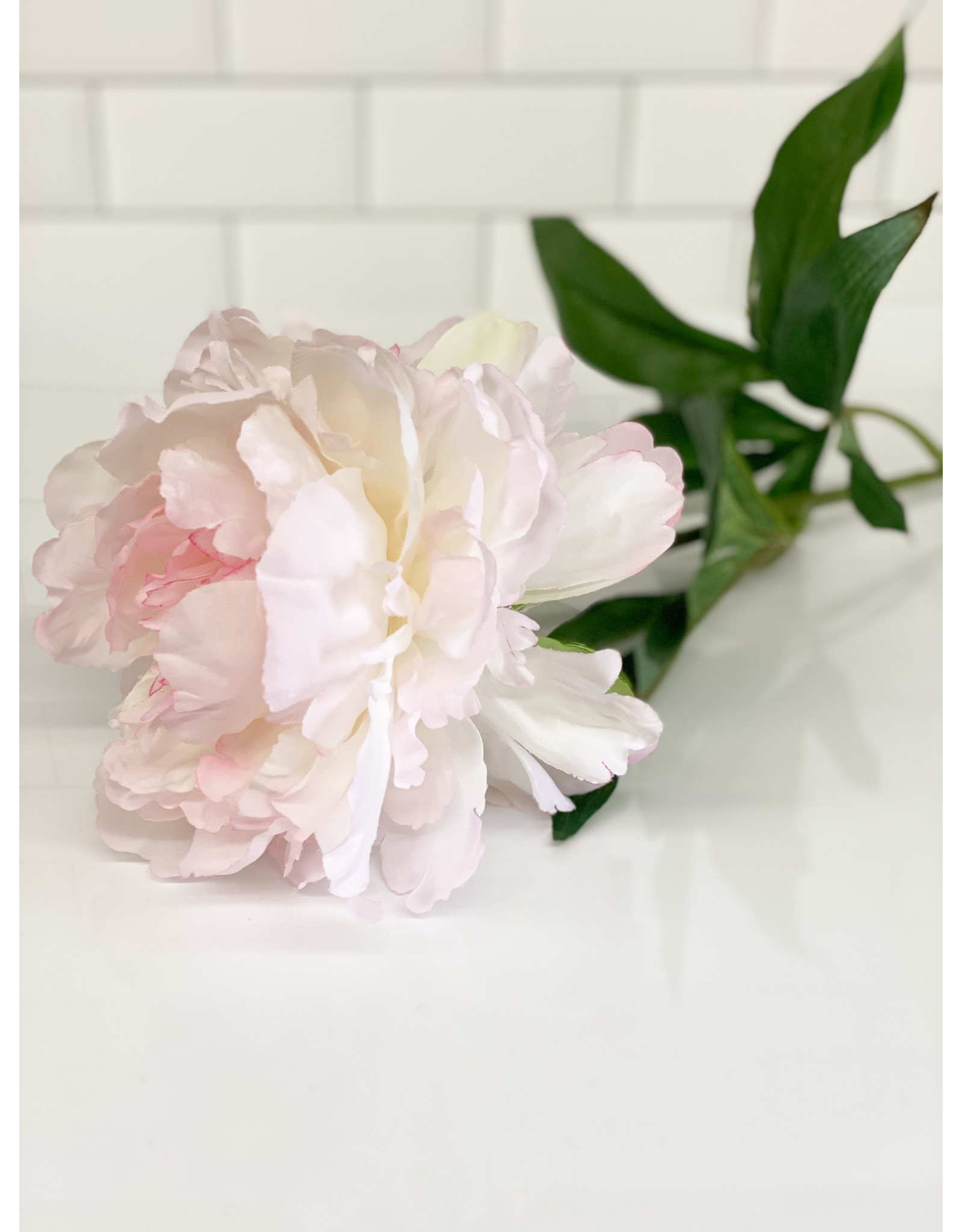 The Florist & The Merchant Peony Stem - Light Pink