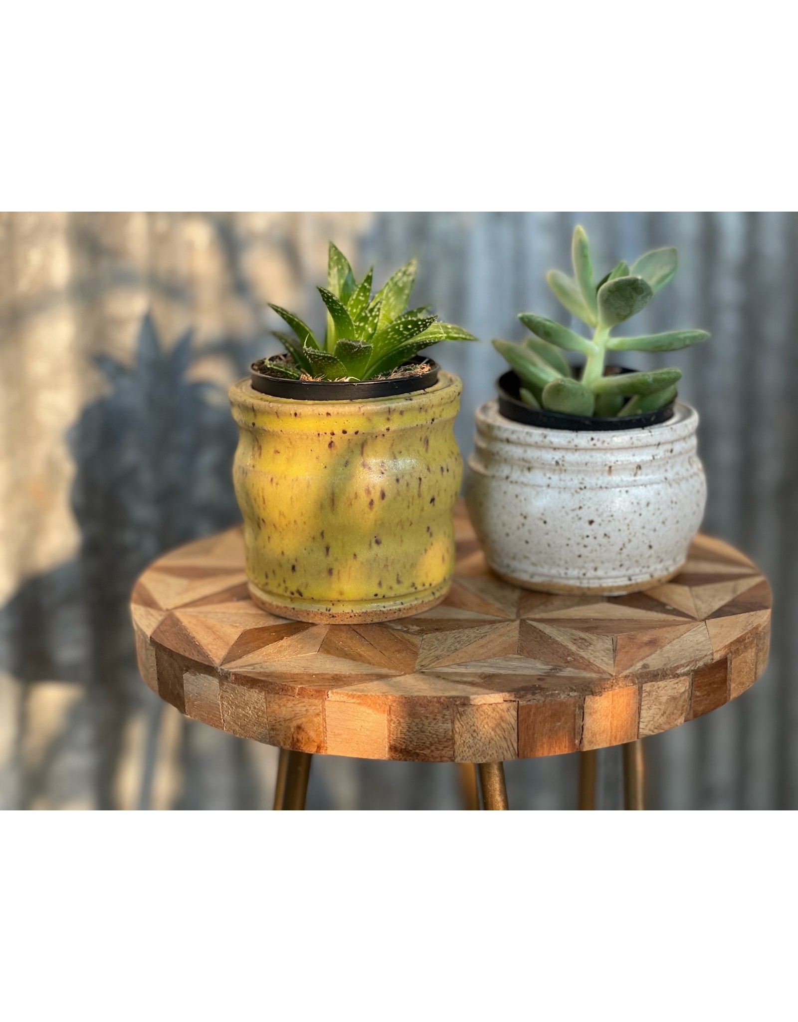 The Florist & The Merchant Hand Thrown Speckled Clay Planter